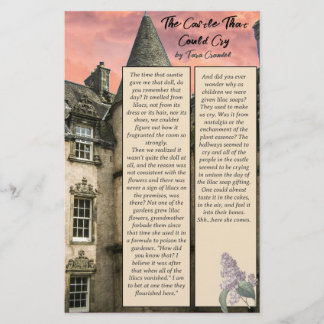 Flyer Autor Promotor de Seguidores de Historias de Tamañ