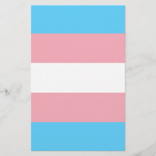 Flyer Bandera de orgullo transgénero