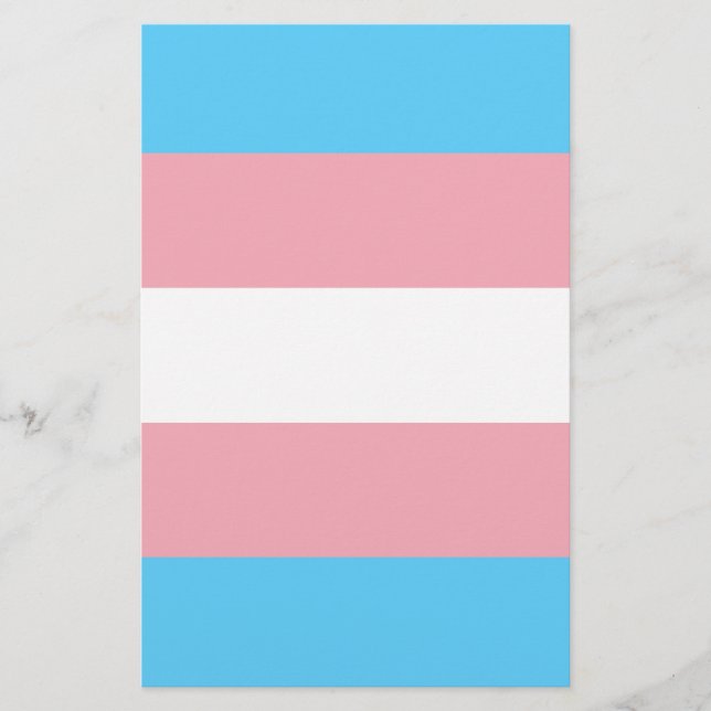 Flyer Bandera de orgullo transgénero (Frente)