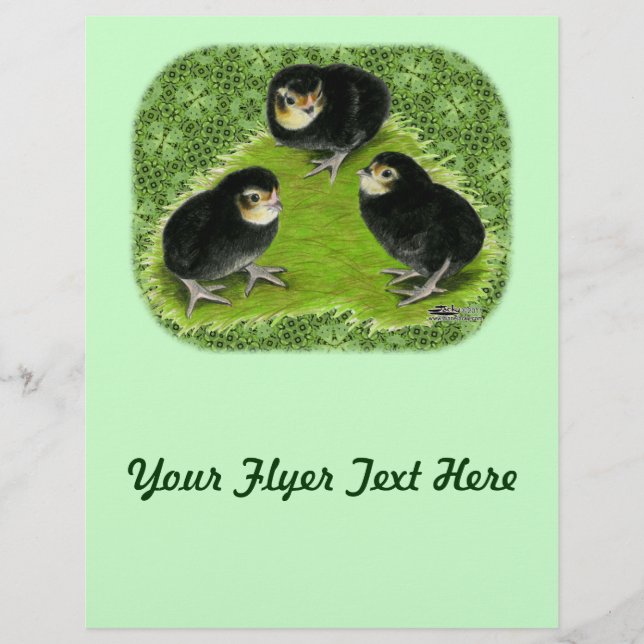 Flyer Bantam Chicks en el Jardín (Frente)