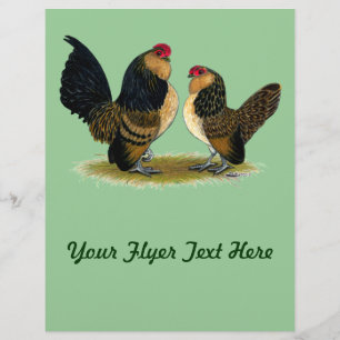 Flyer Bantams d'Anvers belga: Quail