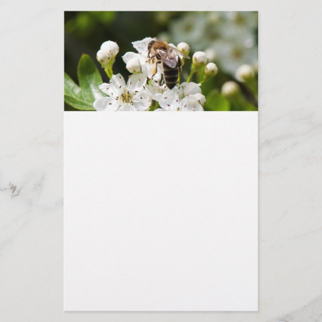 Flyer Bee recoge polen (Frente)