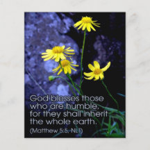 Bienaventurados los Mansos