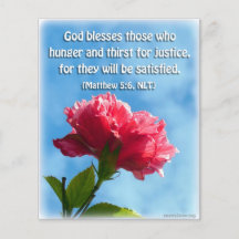 Bienaventurados los que sufren hambre y sed