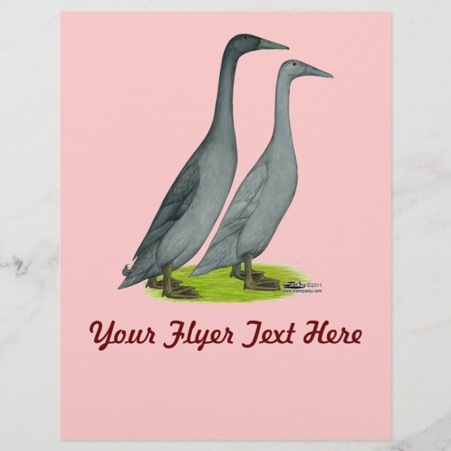 Flyer Blue Runner Ducks (Frente)