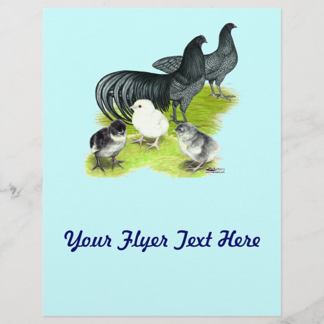 Flyer Blue Sumatra Family (Frente)