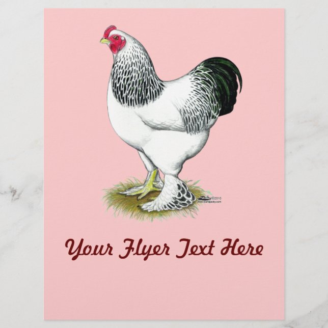 Flyer Brahma: Rooster ligero (Frente)