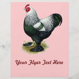 Flyer Brahma: Rooster oscuro