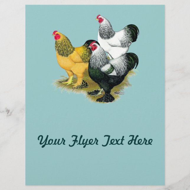 Flyer Brahmas Tres Roosters (Frente)