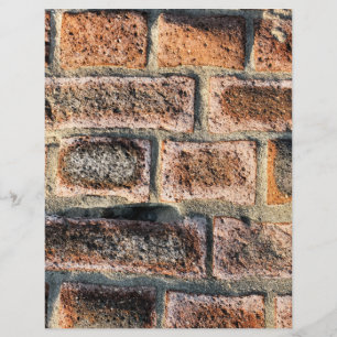FLYER BRICKS