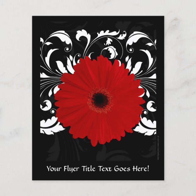 Flyer Brillante Red Gerbera Daisy sobre negro (Frente)