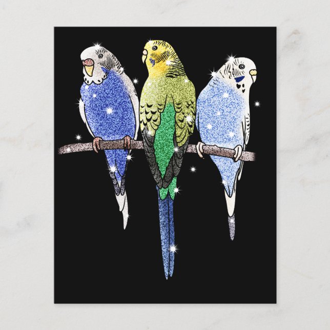 Flyer Budgie Budgerigar Purpurina (Frente)