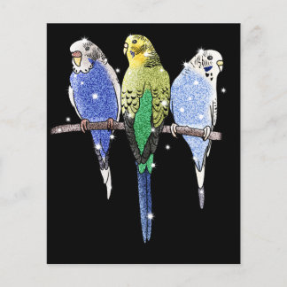 Flyer Budgie Budgerigar Purpurina