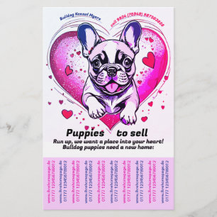 Flyer Bulldog francés en tu casa