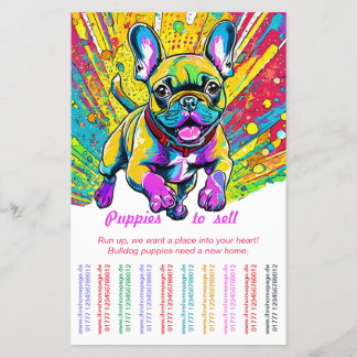 Flyer Bulldog Francés en tu hogar