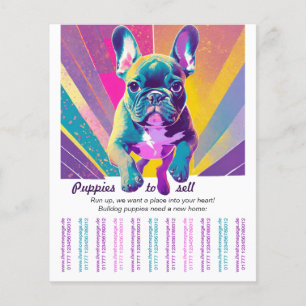 Flyer Bulldog Francés en tu hogar