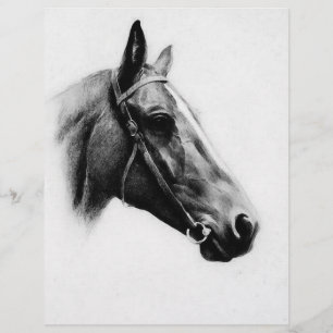 Flyer Caballo blanco y negro