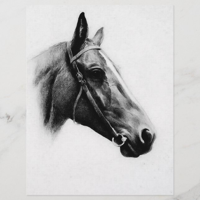 Flyer Caballo blanco y negro (Frente)