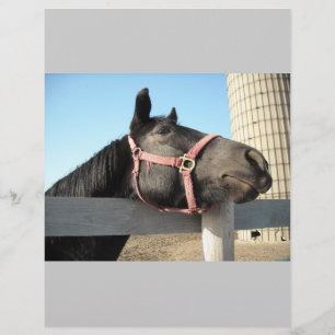 Flyer Caballo/Rancho/Granja