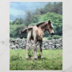 FLYER CABALLOS