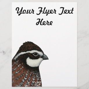Flyer Cabeza de codorniz Bobwhite