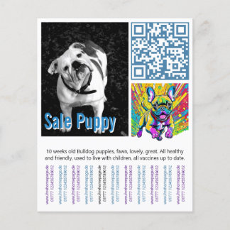 Flyer Cachorro de Bulldog Francés
