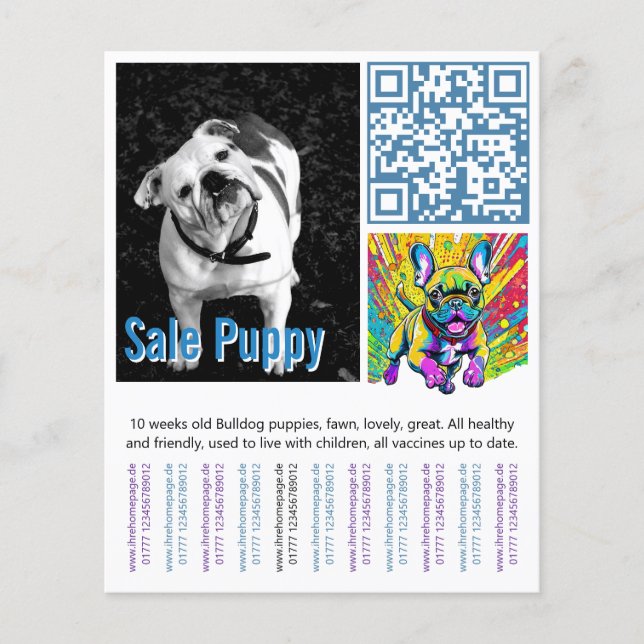 Flyer Cachorro de Bulldog Francés (Frente)