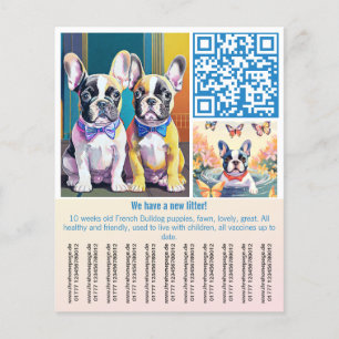 Flyer Cachorro de Bulldog francés