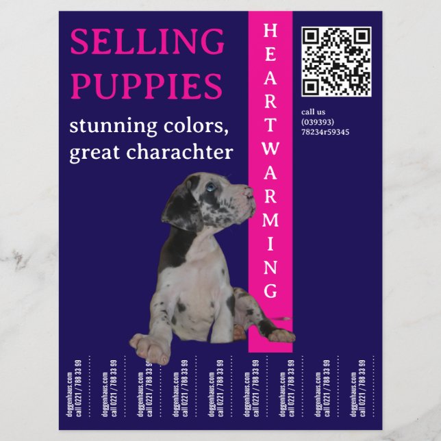 Flyer Cachorro en venta  (Frente)