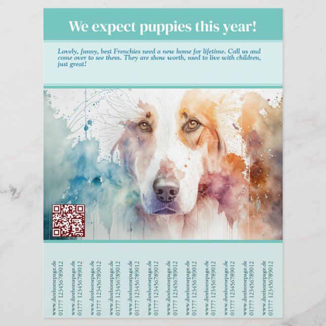 Flyer Cachorros a la venta (Frente)