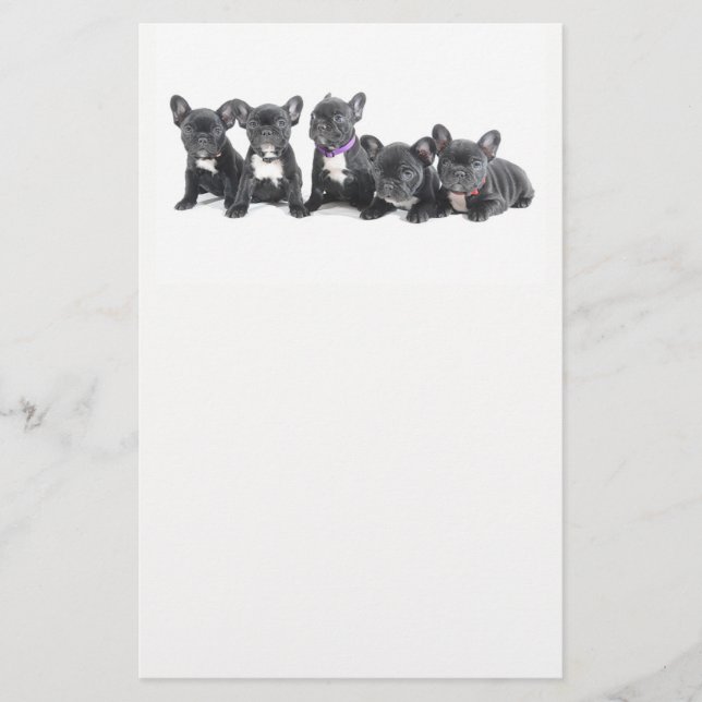 Flyer Cachorros adorables de Bulldog Francés (Frente)