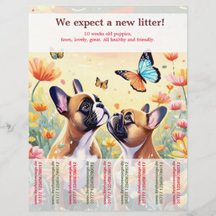 Flyer Cachorros de Bulldog Francés Ripp Off