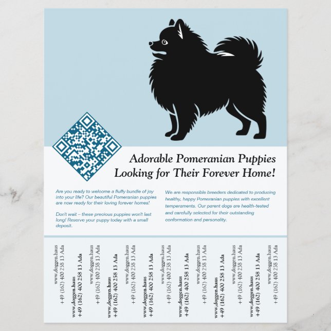 Flyer Cachorros de Pomerania  (Frente)