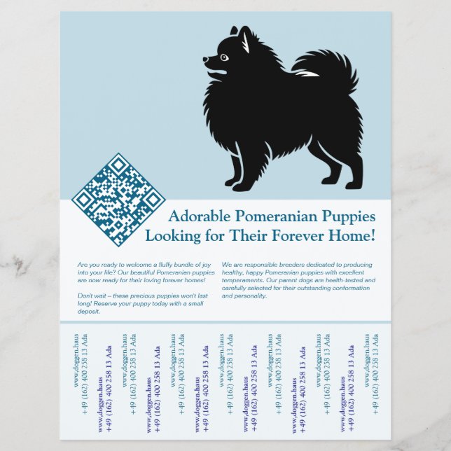 Flyer Cachorros de Pomerania  (Frente)