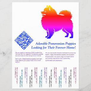 Flyer Cachorros Pomerania