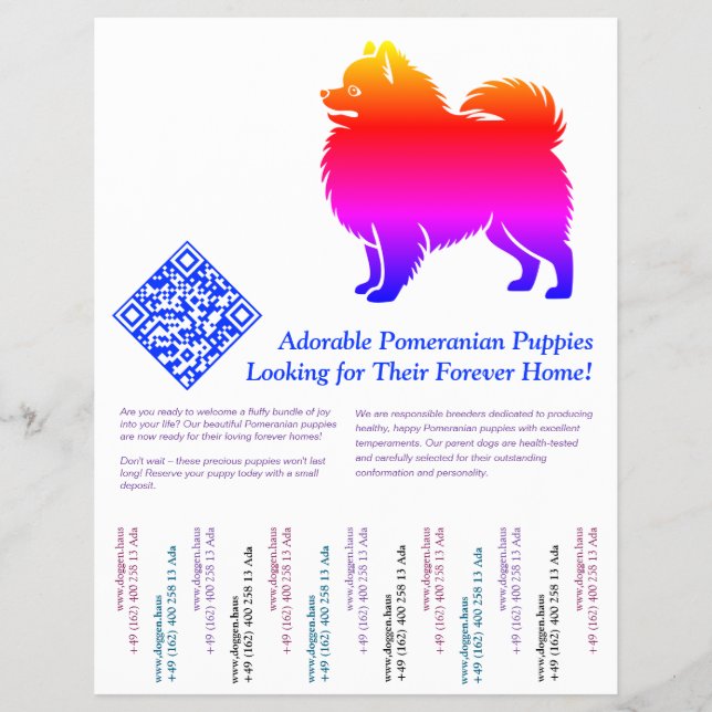 Flyer Cachorros Pomerania  (Frente)