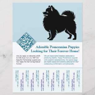 Flyer Cachorros Pomerania Disponibles Ahora azul