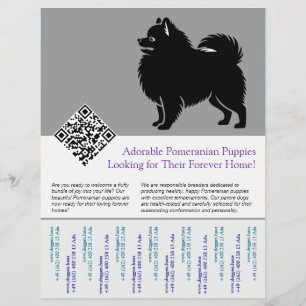 Flyer 🐾 Cachorros Premium de Pomerania Disponibles Ahor