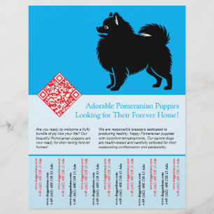 Flyer 🐾 Cachorros Premium Pomerania Disponibles Ahora a