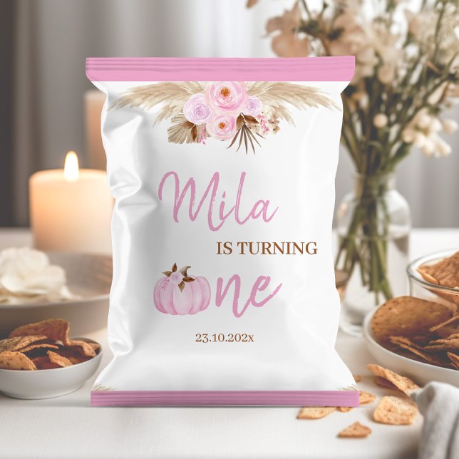 Flyer Calabaza rosada Primera Jornada de cumpleaños Chip (Subido por el creador)