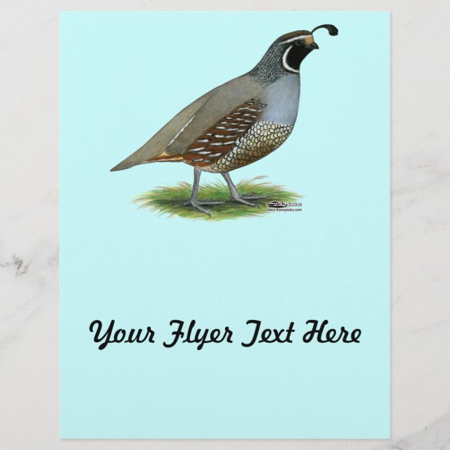 Flyer California Valley Quail (Frente)