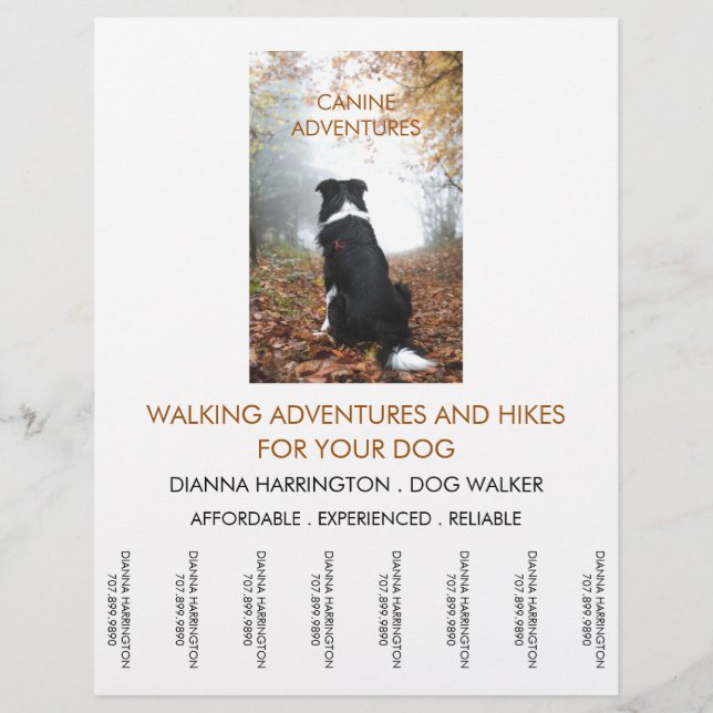 Flyer Caminata De Perros Camina Aventura Camina Y Sender (Frente)