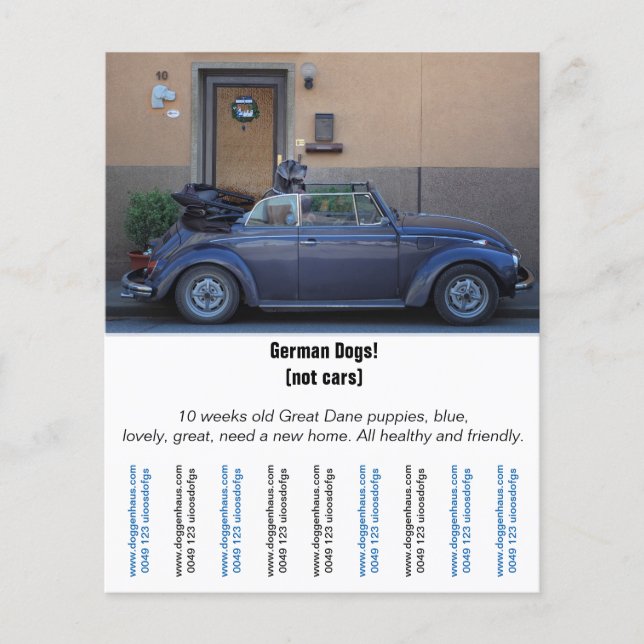 Flyer "Car Seller" (Frente)