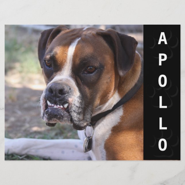 Flyer Cara de cabeza de la tarjeta de comp de los actore (Frente)