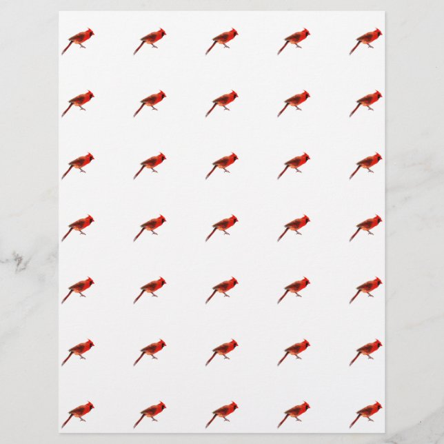 Flyer Cardenales (Frente)