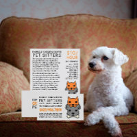 Cat and Dog, Pet Sitting Service Advertising