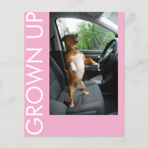 Flyer Celebra cumplir 18 años con estilo con esta elegan