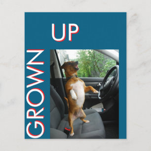 Flyer Celebra haber cumplido 18 con estilo con este eleg