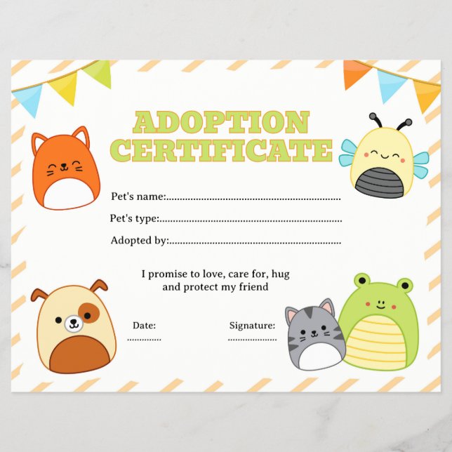 Flyer certificado de adopción de squishmallow editable (Frente)