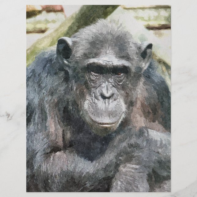 FLYER CHIMPANZEES (Frente)